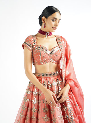 Vvani By Vani Vats-Mellow Rose Chandelier Drop Lehenga Set-INDIASPOPUP.COM