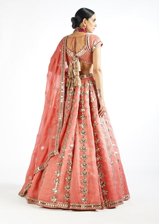 Vvani By Vani Vats-Mellow Rose Chandelier Drop Lehenga Set-INDIASPOPUP.COM