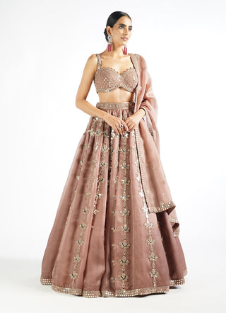 Vvani By Vani Vats-Deep Beige Chandelier Drop Lehenga Set-INDIASPOPUP.COM