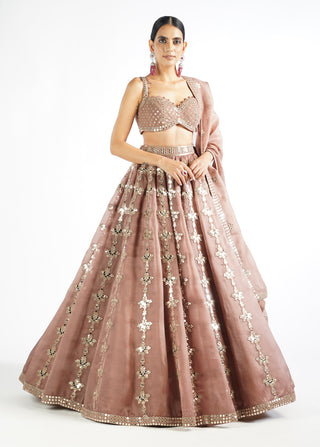 Vvani By Vani Vats-Deep Beige Chandelier Drop Lehenga Set-INDIASPOPUP.COM