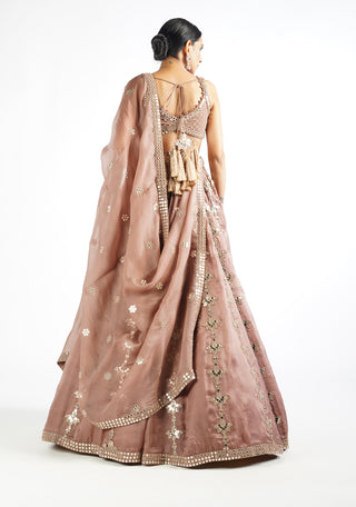 Vvani By Vani Vats-Deep Beige Chandelier Drop Lehenga Set-INDIASPOPUP.COM