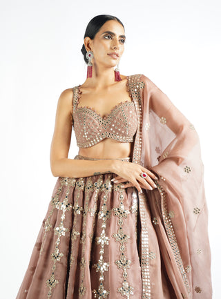 Vvani By Vani Vats-Deep Beige Chandelier Drop Lehenga Set-INDIASPOPUP.COM