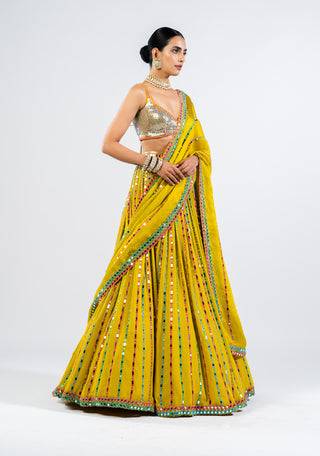 Vvani By Vani Vats-Moss Green Linear Drop Lehenga Set-INDIASPOPUP.COM