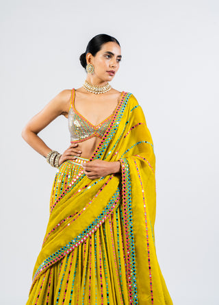 Vvani By Vani Vats-Moss Green Linear Drop Lehenga Set-INDIASPOPUP.COM