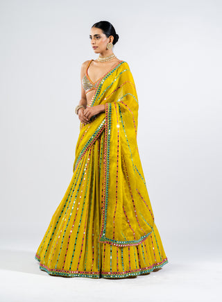 Vvani By Vani Vats-Moss Green Linear Drop Lehenga Set-INDIASPOPUP.COM