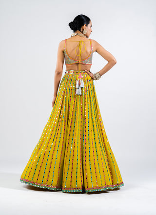 Vvani By Vani Vats-Moss Green Linear Drop Lehenga Set-INDIASPOPUP.COM