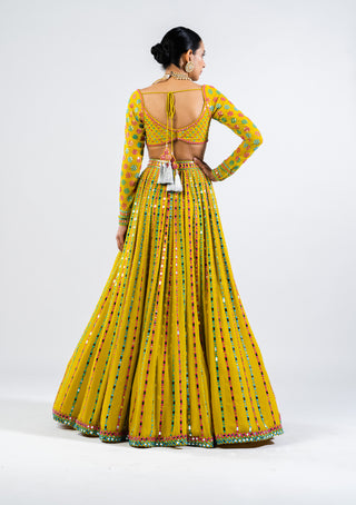 Vvani By Vani Vats-Moss Green Embellished Lehenga Set-INDIASPOPUP.COM