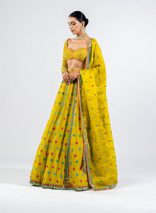 Vvani By Vani Vats-Moss Green Flower Lehenga Set-INDIASPOPUP.COM