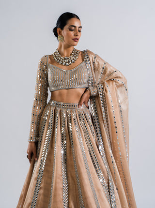 Vvani By Vani Vats-Beige Mirror Seam Lehenga Set-INDIASPOPUP.COM