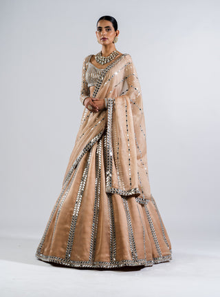 Vvani By Vani Vats-Beige Mirror Seam Lehenga Set-INDIASPOPUP.COM