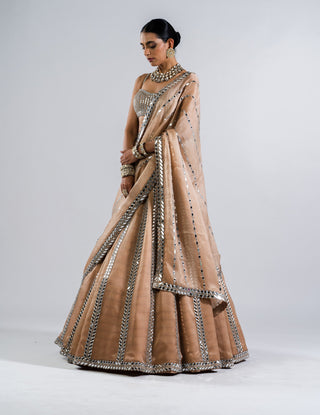 Vvani By Vani Vats-Beige Mirror Embellished Lehenga Set-INDIASPOPUP.COM