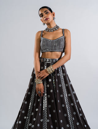 Vvani By Vani Vats-Charcoal Grey Flower Lehenga Set-INDIASPOPUP.COM