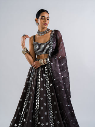 Vvani By Vani Vats-Charcoal Grey Flower Lehenga Set-INDIASPOPUP.COM