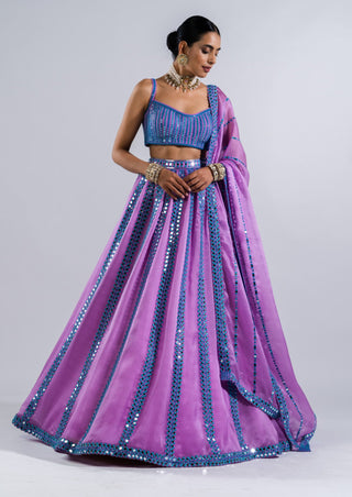 Vvani By Vani Vats-Mauve Mirror Seam Lehenga Set-INDIASPOPUP.COM