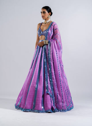 Vvani By Vani Vats-Mauve Mirror Work Lehenga Set-INDIASPOPUP.COM