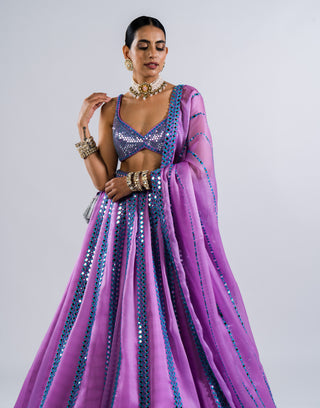 Vvani By Vani Vats-Mauve Mirror Work Lehenga Set-INDIASPOPUP.COM