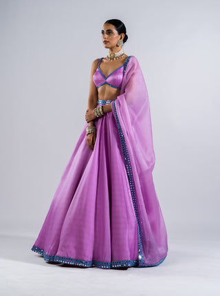 Vvani By Vani Vats-Mauve Satin Organza Lehenga Set-INDIASPOPUP.COM