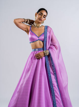 Vvani By Vani Vats-Mauve Satin Organza Lehenga Set-INDIASPOPUP.COM