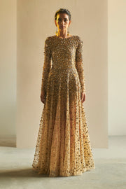Saksham & Neharicka-Golden Embroidered Tulle Gown-INDIASPOPUP.COM