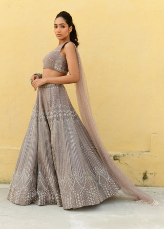 Chamee And Palak-Zoyee Brown Embroidered Lehenga And Blouse-INDIASPOPUP.COM