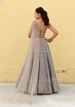 Chamee And Palak-Zoyee Brown Embroidered Lehenga And Blouse-INDIASPOPUP.COM