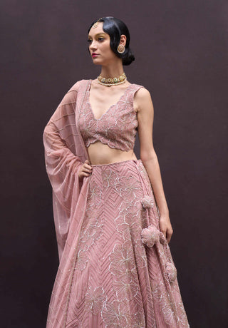 Charu & Vasundhara-Raina Pink Embellished Lehenga Set-INDIASPOPUP.COM