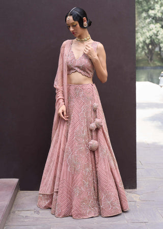 Charu & Vasundhara-Raina Pink Embellished Lehenga Set-INDIASPOPUP.COM