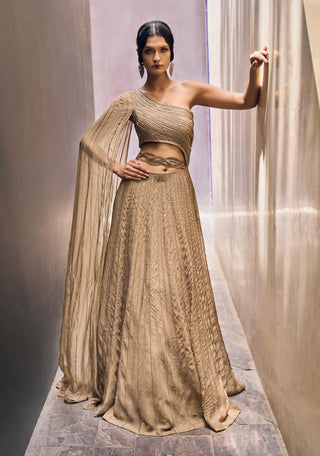 Charu & Vasundhara-Racheal Beige Gown With Drape-INDIASPOPUP.COM