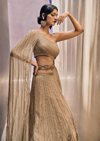 Charu & Vasundhara-Racheal Beige Gown With Drape-INDIASPOPUP.COM