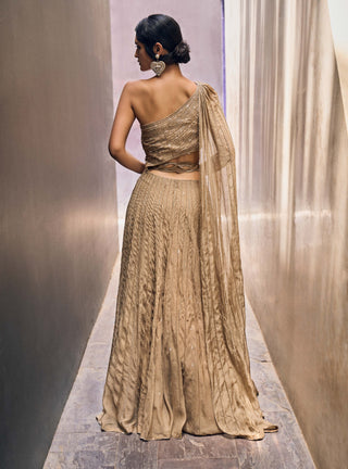 Charu & Vasundhara-Racheal Beige Gown With Drape-INDIASPOPUP.COM