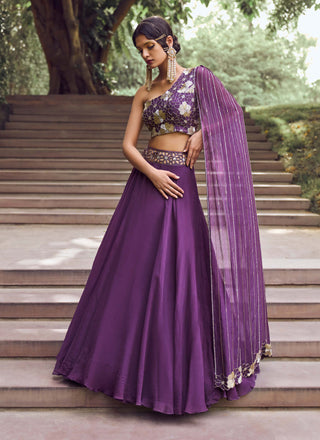 Charu & Vasundhara-Rida Purple Embroidered Skirt Set-INDIASPOPUP.COM