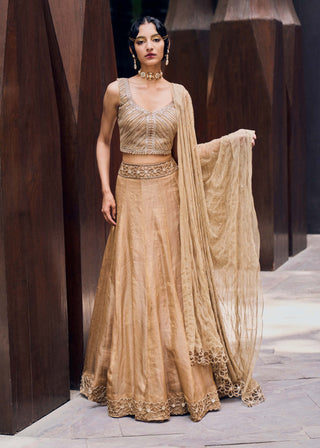 Charu & Vasundhara-Riverlyn Beige Lehenga Set-INDIASPOPUP.COM