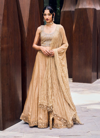 Charu & Vasundhara-Riverlyn Beige Lehenga Set-INDIASPOPUP.COM