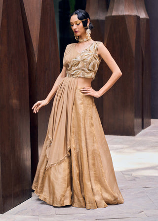 Charu & Vasundhara-Raya Beige Lehenga Set-INDIASPOPUP.COM