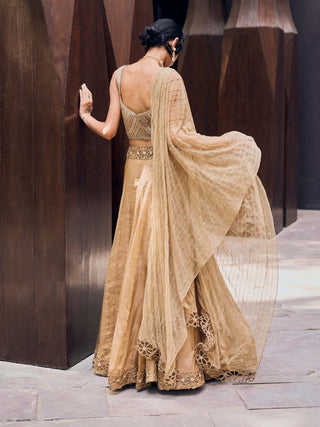 Charu & Vasundhara-Riverlyn Beige Lehenga Set-INDIASPOPUP.COM