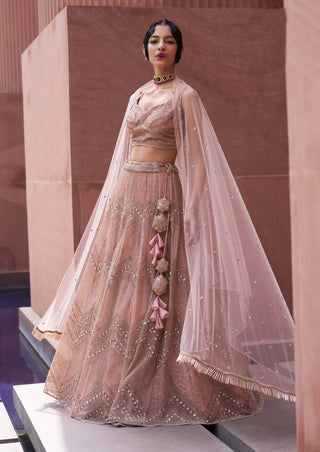 Charu & Vasundhara-Rifka Blush Pink Heavy Lehenga Set-INDIASPOPUP.COM