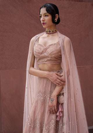 Charu & Vasundhara-Rifka Blush Pink Heavy Lehenga Set-INDIASPOPUP.COM