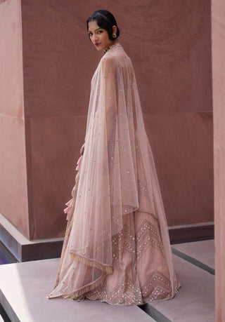 Charu & Vasundhara-Rifka Blush Pink Heavy Lehenga Set-INDIASPOPUP.COM