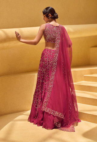 Charu & Vasundhara-Reece Raspberry Lehenga Set-INDIASPOPUP.COM