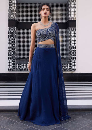 Charu & Vasundhara-Erika Electric Blue Lehenga Set-INDIASPOPUP.COM