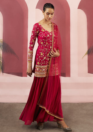 Ease-Pink Embroidered Sharara Set-INDIASPOPUP.COM