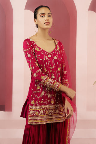 Ease-Pink Embroidered Sharara Set-INDIASPOPUP.COM