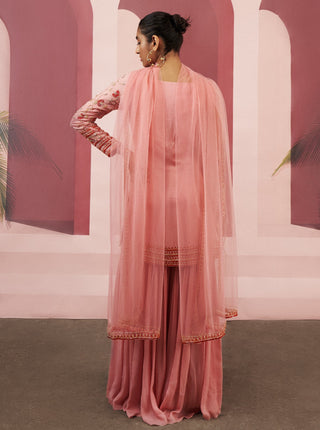 Ease-Pink Kurta Sharara Set-INDIASPOPUP.COM