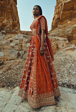 Ease-Rust Nakshi Embroidered Velvet Lehenga Set-INDIASPOPUP.COM