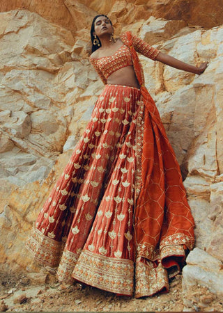 Ease-Rust Nakshi Embroidered Velvet Lehenga Set-INDIASPOPUP.COM