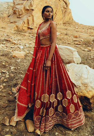 Ease-Red Velvet Embroidered Lehenga Set-INDIASPOPUP.COM