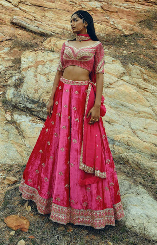 Ease-Pink Velvet Embroidered Lehenga Set-INDIASPOPUP.COM