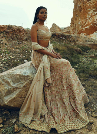 Ease-Beige Floral Embroidered Velvet Lehenga Set-INDIASPOPUP.COM