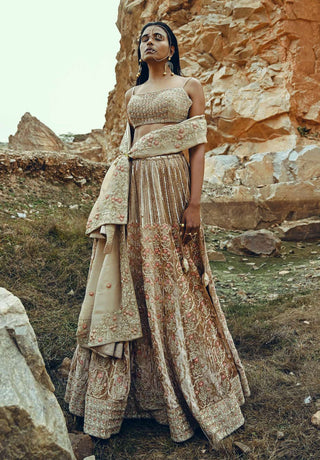 Ease-Beige Floral Embroidered Velvet Lehenga Set-INDIASPOPUP.COM