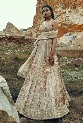 Ease-Beige Floral Embroidered Velvet Lehenga Set-INDIASPOPUP.COM